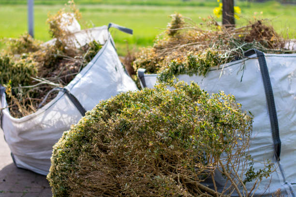 Best Commercial Junk Removal  in Millington, TN